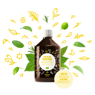 Vita Biosa Ginger - 500ml