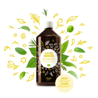 Vita Biosa Ginger - 1000ml